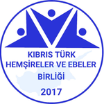 Hemşireler ve Ebeler Birliği, feribot faciası sonrası görev yapan tüm sağlık çalışanlarına teşekkür etti