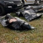 İngiltere'de polis aracı ile otomobilin çarpıştığı kazada çok sayıda kişi öldü