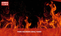 Park halindeki araç yandı