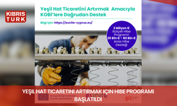 Yeşil Hat ticaretini artırmak için hibe programı başlatıldı