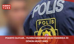 Polisiye olaylar… Yıldırım nedeniyle çıkan yangında 30 dönüm arazi yandı