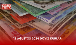 12 Ağustos 2024 Döviz Kurları...