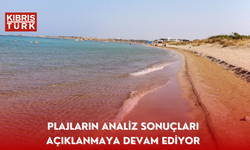 Plajların analiz sonuçları  açıklanmaya devam ediyor