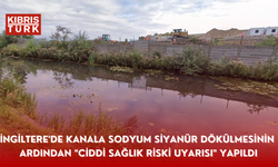 İngiltere'de kanala sodyum siyanür dökülmesinin ardından "ciddi sağlık riski uyarısı" yapıldı