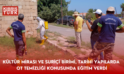 Kültür Mirası ve Suriçi Birimi, tarihi yapılarda ot temizliği konusunda eğitim verdi