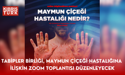 Tabipler Birliği, maymun çiçeği hastalığına ilişkin Zoom toplantısı düzenleyecek