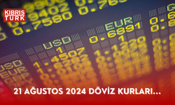 21 Ağustos 2024 Döviz kurları...