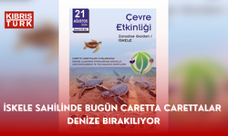 İskele sahilinde bugün caretta carettalar denize bırakılıyor