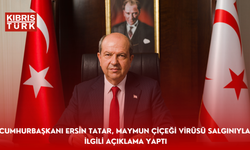 Cumhurbaşkanı Ersin Tatar, maymun çiçeği virüsü salgınıyla ilgili açıklama yaptı