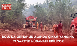 Bolu'da ormanlık alanda çıkan yangına 71 saattir müdahale ediliyor