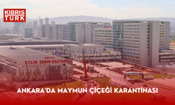 Ankara'da maymun çiçeği karantinası