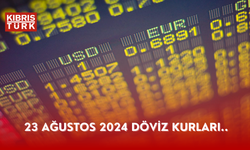 23 Ağustos 2024 Döviz Kurları