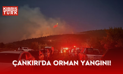 Çankırı'da orman yangını: 4 köy tedbiren boşaltıldı