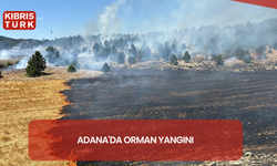 Adana'da orman yangını