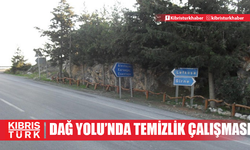 Değirmenlik-Dağ Yolu güzergahında ağaç budama ve temizlik yapılacak