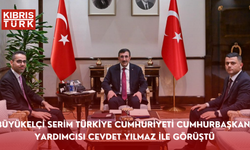 Büyükelçi Serim Türkiye Cumhuriyeti Cumhurbaşkanı Yardımcısı Cevdet Yılmaz ile görüştü