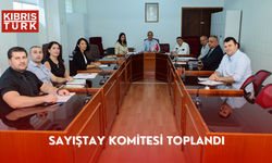 Sayıştay Komitesi toplandı