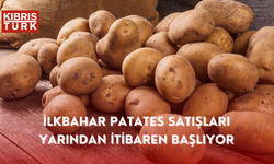 İlkbahar patates satışları yarından itibaren başlıyor