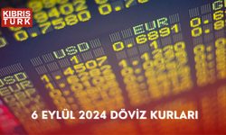 6 Eylül 2024 Döviz kurları