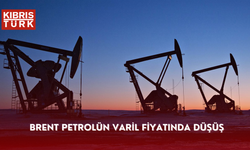 Brent petrolün varil fiyatı 72,90 dolar