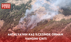 Antalya'nın Kaş ilçesinde orman yangını çıktı