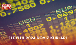 11 Eylül 2024 Döviz Kurları