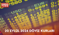 20 Eylül 2024 Döviz Kurları