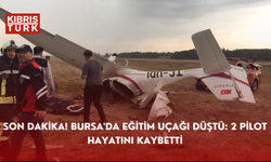 Son dakika! Bursa'da eğitim uçağı düştü: 2 pilot hayatını kaybetti