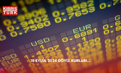 18 Eylül 2024 Döviz Kurları...