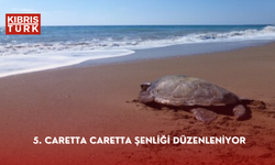 Karşıyaka Güzelyalı Halk Plajı’nda yarın 5. Caretta Caretta Şenliği düzenleniyor