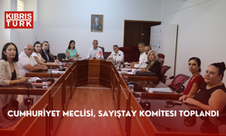 Cumhuriyet Meclisi, Sayıştay Komitesi toplandı