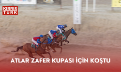 Atlar Zafer Kupası için koştu