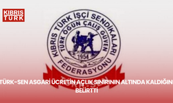 Türk-Sen asgari ücretin açlık sınırının altında kaldığını belirtti