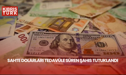 Sahte dolarları tedavüle süren şahıs tutuklandı