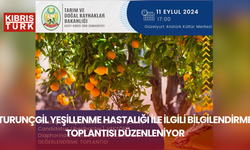 Turunçgil yeşillenme hastalığı ile ilgili bilgilendirme toplantısı düzenleniyor