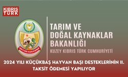 2024 Yılı Küçükbaş Hayvan Başı Desteklerinin II. taksit ödemesi yapılıyor