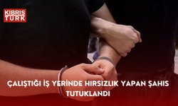 Çalıştığı iş yerinde hırsızlık yapan şahıs tutuklandı