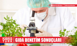 Gıda denetim sonuçları... 8 ithal ve 5 yerli üründe ilaç saptandı