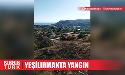 Yeşilırmak'ta yangın