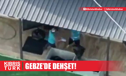 Hayvanlara önce iğne yapıp sonra çöpe attılar!