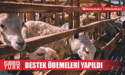 Kasaplara destek ödemeleri yapıldı