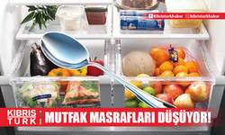 Buzdolabına 1 metal kaşık koyun, olacakları izleyin! Mutfak masraflarını düşürüyor