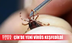 Çin'de kene kaynaklı yeni bir virüs keşfedildi