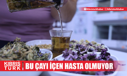 Bağışıklığı güçlendiren 4 bitki karışımı! Bu çayı içen hasta olmuyor!