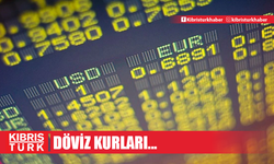 10 Ekim 2024 Döviz Kurları