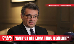 Erhürman: Karpuz bir elma türü değildir