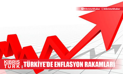 TÜFE yüzde 2,97, Yİ-ÜFE yüzde 1,37 arttı