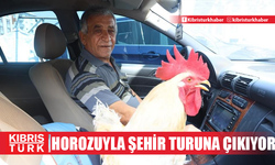 Horoz ve Sahibi Mercedes’le Şehir Turlarında