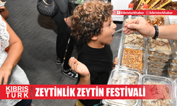 Zeytinlik Zeytin Festivali bu akşam da birçok etkinliğe ev sahipliği yapacak