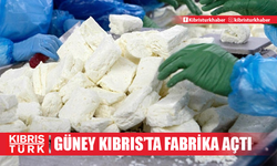 “Yunan süt ürünleri” şirketi hellim üretimi için Güney Kıbrıs’ta fabrika açtı